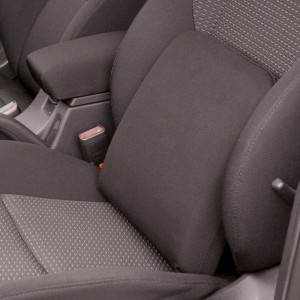 Rugkussen 'Basic' Zwart